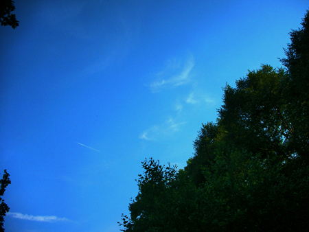 Chentrails & Sylohs Prospect Park, Brooklyn, NY June 13 2008